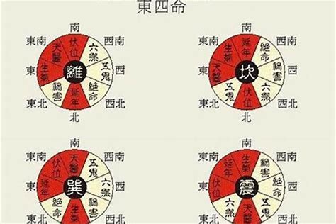 东四宅 西四宅|关于家宅八方位置（阳宅三要）：西四宅与东四宅详解